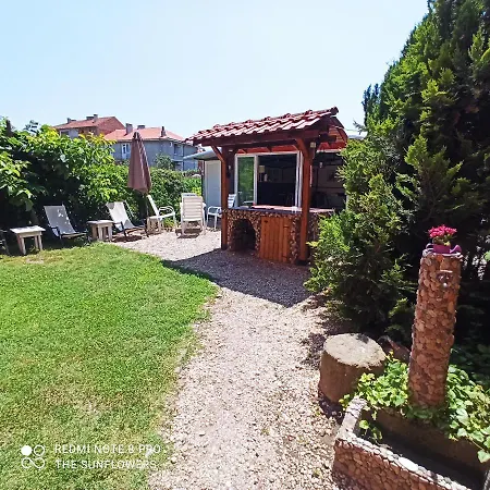 Sunflowers Pomorie