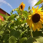 Гостевой дом Sunflowers