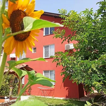 Sunflowers Gæstehus