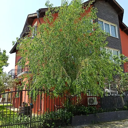 Konukevi Sunflowers Ahyolu