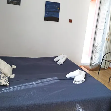 Sunflowers 4* Pomorie